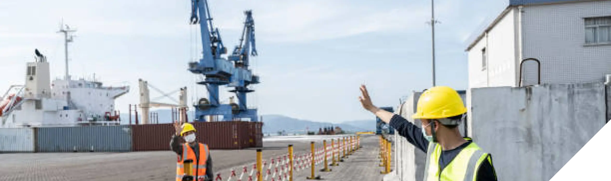 Logistic & Supply Chain